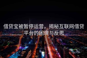 借贷宝被暂停运营，揭秘互联网借贷平台的困境与反思