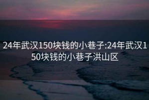 24年武汉150块钱的小巷子:24年武汉150块钱的小巷子洪山区