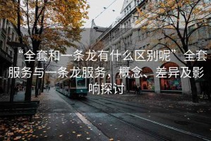 “全套和一条龙有什么区别呢”全套服务与一条龙服务，概念、差异及影响探讨