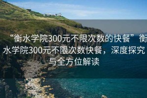 “衡水学院300元不限次数的快餐”衡水学院300元不限次数快餐，深度探究与全方位解读