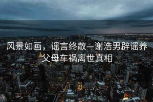 风景如画，谣言终散—谢浩男辟谣养父母车祸离世真相