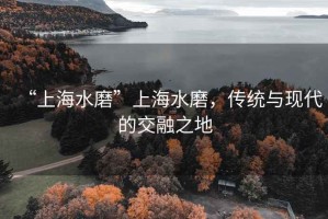 “上海水磨”上海水磨，传统与现代的交融之地