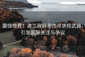 震惊世界！波兰政府考虑寻求核武器，引发国际关注与争议