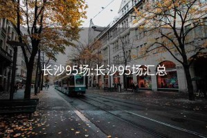 长沙95场:长沙95场汇总