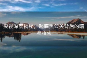 央视深度揭秘，起底黑公关背后的暗流涌动