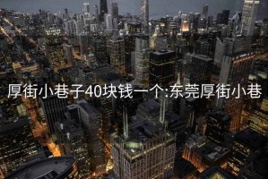 厚街小巷子40块钱一个:东莞厚街小巷