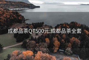 成都品茶QT500元:成都品茶全套