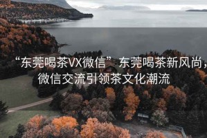 “东莞喝茶VX微信”东莞喝茶新风尚，微信交流引领茶文化潮流