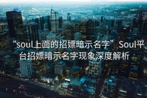 “soul上面的招嫖暗示名字”Soul平台招嫖暗示名字现象深度解析