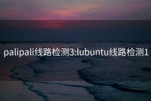 palipali线路检测3:lubuntu线路检测1