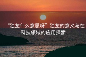 “独龙什么意思呀”独龙的意义与在科技领域的应用探索