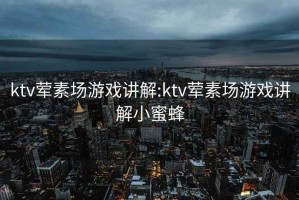 ktv荤素场游戏讲解:ktv荤素场游戏讲解小蜜蜂