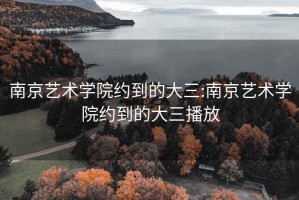 南京艺术学院约到的大三:南京艺术学院约到的大三播放