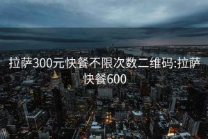 拉萨300元快餐不限次数二维码:拉萨快餐600