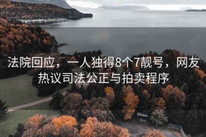 法院回应，一人独得8个7靓号，网友热议司法公正与拍卖程序