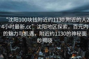 “沈阳100块钱附近约1130.附近的人24小时最新.cc”沈阳地区探索，百元内的魅力与机遇，附近约1130的神秘面纱揭晓