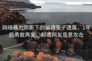 网络暴力阴影下的偏瘫妻子遗属，1年后勇敢再爱，却遭网友恶意攻击