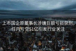 上市国企原董事长涉嫌巨额亏损获刑，任内亏空51亿引发行业关注