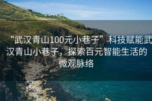 “武汉青山100元小巷子”科技赋能武汉青山小巷子，探索百元智能生活的微观脉络