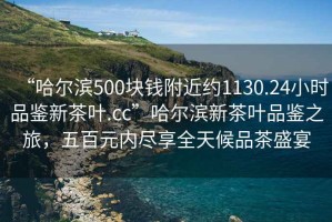 “哈尔滨500块钱附近约1130.24小时品鉴新茶叶.cc”哈尔滨新茶叶品鉴之旅，五百元内尽享全天候品茶盛宴