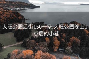 大旺公园后街150一条:大旺公园晚上11点后的小巷