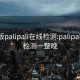 轻量版palipali在线检测:palipali线路检测一整晚