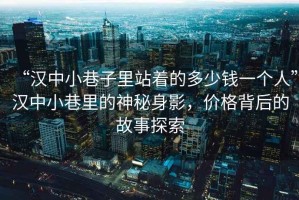 “汉中小巷子里站着的多少钱一个人”汉中小巷里的神秘身影，价格背后的故事探索