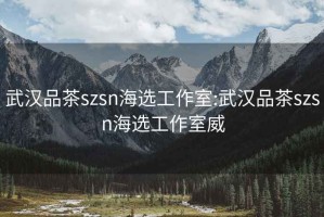 武汉品茶szsn海选工作室:武汉品茶szsn海选工作室威