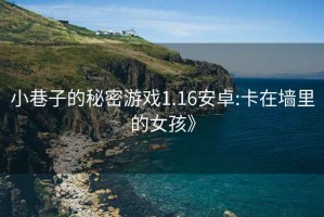 小巷子的秘密游戏1.16安卓:卡在墙里的女孩》