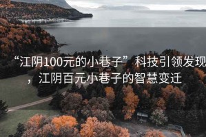 “江阴100元的小巷子”科技引领发现，江阴百元小巷子的智慧变迁