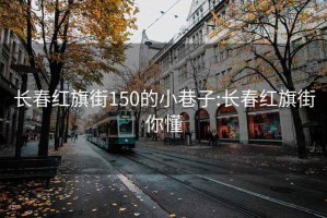 长春红旗街150的小巷子:长春红旗街你懂