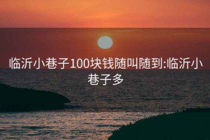 临沂小巷子100块钱随叫随到:临沂小巷子多