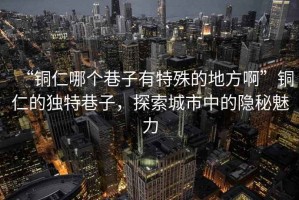 “铜仁哪个巷子有特殊的地方啊”铜仁的独特巷子，探索城市中的隐秘魅力