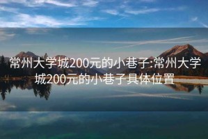 常州大学城200元的小巷子:常州大学城200元的小巷子具体位置