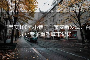 “宝安100元小巷子”宝安新发现，百元小巷子重塑城市记忆