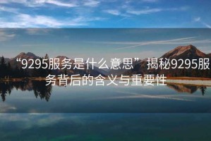 “9295服务是什么意思”揭秘9295服务背后的含义与重要性