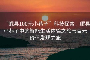 “岷县100元小巷子”科技探索，岷县小巷子中的智能生活体验之旅与百元价值发现之旅