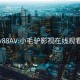 v88AV:小毛驴影视在线观看