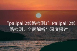 “palipali2线路检测1”Palipali 2线路检测，全面解析与深度探讨