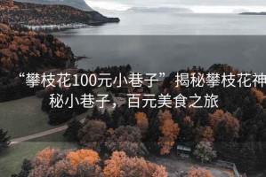 “攀枝花100元小巷子”揭秘攀枝花神秘小巷子，百元美食之旅