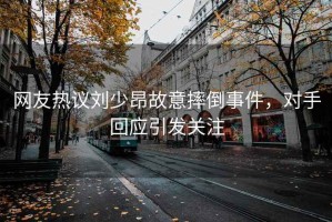 网友热议刘少昂故意摔倒事件，对手回应引发关注