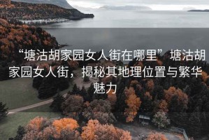 “塘沽胡家园女人街在哪里”塘沽胡家园女人街，揭秘其地理位置与繁华魅力