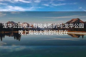 龙华公园晚上有站大街的吗:龙华公园晚上有站大街的吗现在