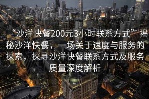 “沙洋快餐200元3小时联系方式”揭秘沙洋快餐，一场关于速度与服务的探索，探寻沙洋快餐联系方式及服务质量深度解析