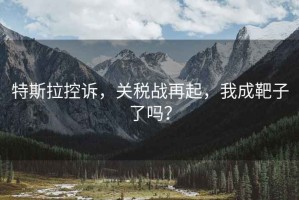 特斯拉控诉，关税战再起，我成靶子了吗？