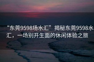 “东莞9598场水汇”揭秘东莞9598水汇，一场别开生面的休闲体验之旅