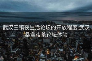 武汉三镇夜生活论坛的开放程度:武汉桑拿夜茶论坛体验