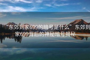 “东郊到家699的暗号是什么”东郊到家699背后的神秘暗号揭秘