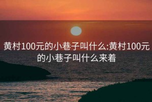 黄村100元的小巷子叫什么:黄村100元的小巷子叫什么来着