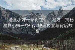 “澧县小妹一条街在什么地方”揭秘澧县小妹一条街，地理位置与背后故事